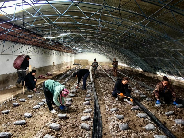 [通告]哈密新能煤化工有限责任公司煤基新质料项目建设期(第二批次)果真招聘通告-Ag亚洲集团